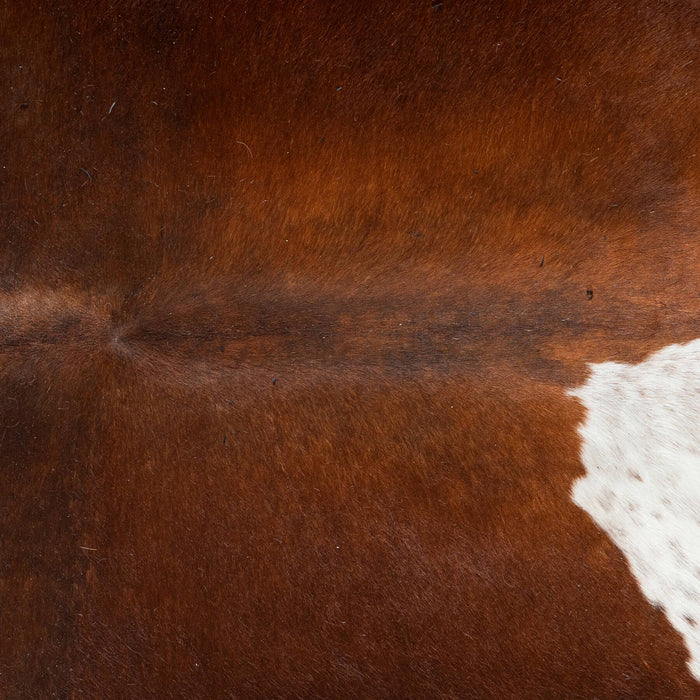 Brown and White Cowhide Rug Size 7'8" L x 6'9" W 2901