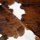 files/2904_c_02563cfe-2e2a-4e14-8e9b-e784c96a0459.jpg
