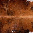 files/2909_b_9c1c1118-0f31-4987-8d0e-561512e6222d.jpg