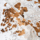 files/2911_c_c49f7244-2f03-4691-992f-0f96a7824a21.jpg