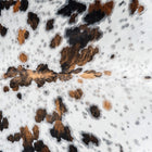 files/2914_b_372e6866-9c81-4a23-bc00-e698e8eeb812.jpg