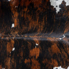 files/2916_b_0346817f-265d-43c9-9f04-cfff829410b8.jpg