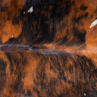 files/2919_b_010ceeba-aa04-47c6-aaa6-331df8cc8b42.jpg