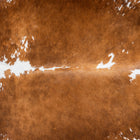 files/2921_b_aefe64ad-bb84-4133-b050-97ec69a13564.jpg
