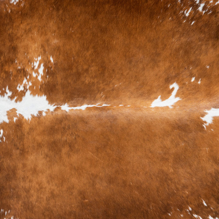 Brown and White Cowhide Rug Size 7'7" L x 6'10" W 2921