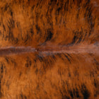 files/2922_b_5ac1c003-3aaf-4248-9d3d-4860067569f5.jpg