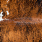 files/2927_b_017b7258-0a76-4630-8869-3ca6b29104ac.jpg