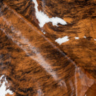 files/2927_c_ac0eb7fc-f836-49ef-a9e9-9f3298c53b27.jpg