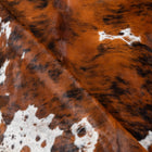 files/2937_c_6e02a6bc-4a23-4450-94a2-8fd14fc77b93.jpg