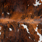 files/2941_b_c6cc3abf-332e-4a38-a73a-699db5f060a0.jpg