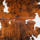files/2944_b_9c868ea5-e58c-4e83-b860-f278840438f6.jpg