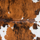 files/2957_b_b423886b-53a8-4f59-bd68-e2458d4cf36d.jpg