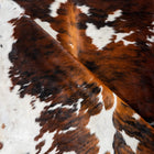 files/2959_c_b343e14a-541f-4272-bf52-4447dce12214.jpg