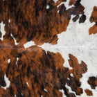 files/2965_b_4189a464-31a4-42b9-8d15-55d48b66b2e6.jpg