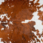 files/2967_b_c71a5c9c-4b26-4f2e-8d77-e21c0eb7239c.jpg