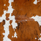 files/2971_b_9c54d5d7-0ef9-4e5d-b8ff-412e4e52ca2e.jpg