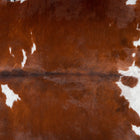 files/2973_b_aa5a10d5-5953-4a27-87a3-4faa1f025e64.jpg