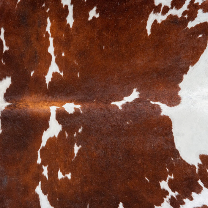 Chocolate and White Cowhide Rug Size 8'6" L x 6'9" W 2981