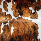 files/2984_b_bccfed1f-3c7d-49ca-b9d4-75544e2a6bf4.jpg