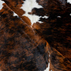 files/2985_c_bcc46fd5-a4ff-4f0c-97bf-d3c6b61f6571.jpg