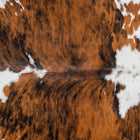 files/2989_b_f16805e9-ff9a-4017-90b1-c1c71b907f68.jpg