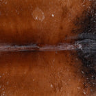 files/3000_b_4075f20b-5b79-4cf0-a17b-56887094c035.jpg