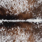 files/3036_b_5454438a-c476-44e0-b379-a503c6590834.jpg