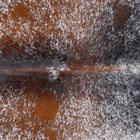 files/3039_b_eef677a1-405e-41f2-a7f1-2e502ae9592f.jpg