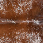 files/3043_b_3df564ba-d19b-4d8b-be6b-27244f0128a8.jpg