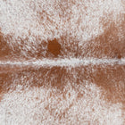 files/3050_b_77a28b0e-c0d1-4d5d-9c6a-85765dc147b1.jpg