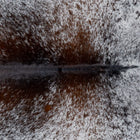 files/3080_b_23ed70ef-fe0d-431a-a327-591184f4f5ad.jpg
