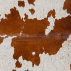files/3081_b_f922a95e-0a12-4fa0-9184-fb0c2c56aa13.jpg