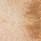 files/3111_b_99d6bece-ed69-4170-8af2-3e9595400c39.jpg