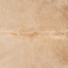 files/3135_b_0bbb5ca8-c4be-4e08-8c96-ecf5cd18fd1e.jpg