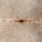 files/3143_b_7ae4edca-9ce6-4d51-b955-05c857d0d6e9.jpg