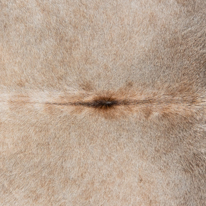 Brazilian Grey Palomino Cowhide Rug Size 8'9" L x 7'2" W 3143
