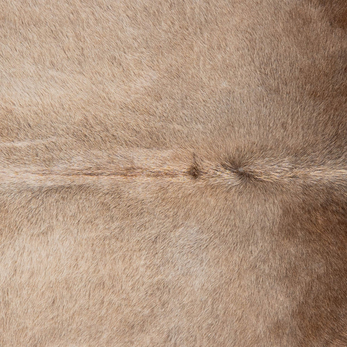 Brazilian Grey Palomino Cowhide Rug Size 7'5" L x 7'3" W 3161