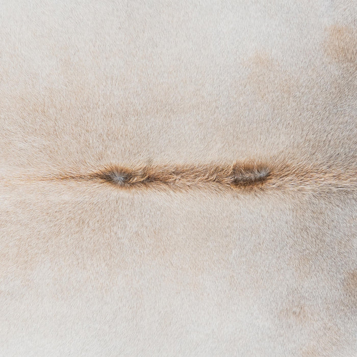 Brazilian Grey Palomino Cowhide Rug Size 7'7" L x 6'7" W 3162
