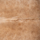 Brazilian Grey Palomino Cowhide Rug Size 6'10" L x 6'2" W 3166
