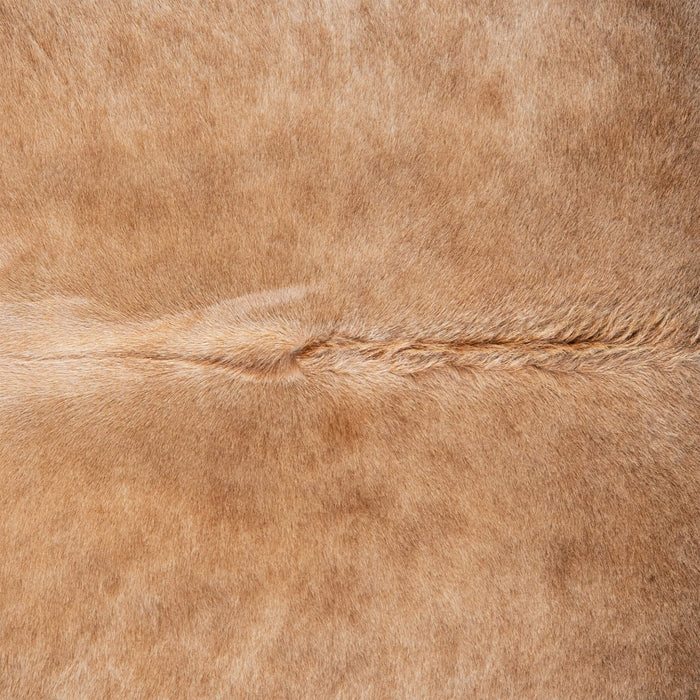 Brazilian Grey Palomino Cowhide Rug Size 6'10" L x 6'2" W 3166