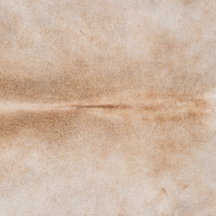 Brazilian Grey Palomino Cowhide Rug Size 7'11" L x 7'3" W 3167