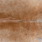 files/3178_b_cc70d784-6e91-456c-acf6-7277c3196d6a.jpg