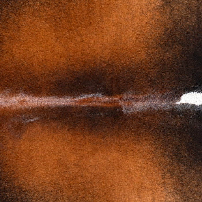 Brazilian Mahogany Cowhide Rug Size 6'9" L x 7'3" W 3204