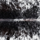 files/3302_b_f0a574ec-5c31-44a7-8b3a-14c479902c72.jpg