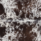 files/3310_b_229cc00d-ca0b-4247-b52c-a8b5a5797ad9.jpg