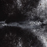 Brazilian Black Salt and Pepper Cowhide Rug Size 8'9" L x 7'6" W 3317
