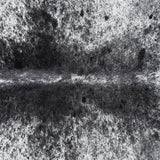 Brazilian Black Salt and Pepper Cowhide Rug Size 7'8" L x 6'3" W 3318