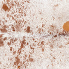 files/3326_b_3f44f710-c2ee-454a-a44c-e62c315f04c1.jpg
