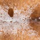 files/3331_b_f2520e4d-140b-42f4-8df4-37787a8c6a83.jpg