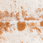 files/3341_b_49c87010-ce76-473e-8247-fa54405e1ef4.jpg